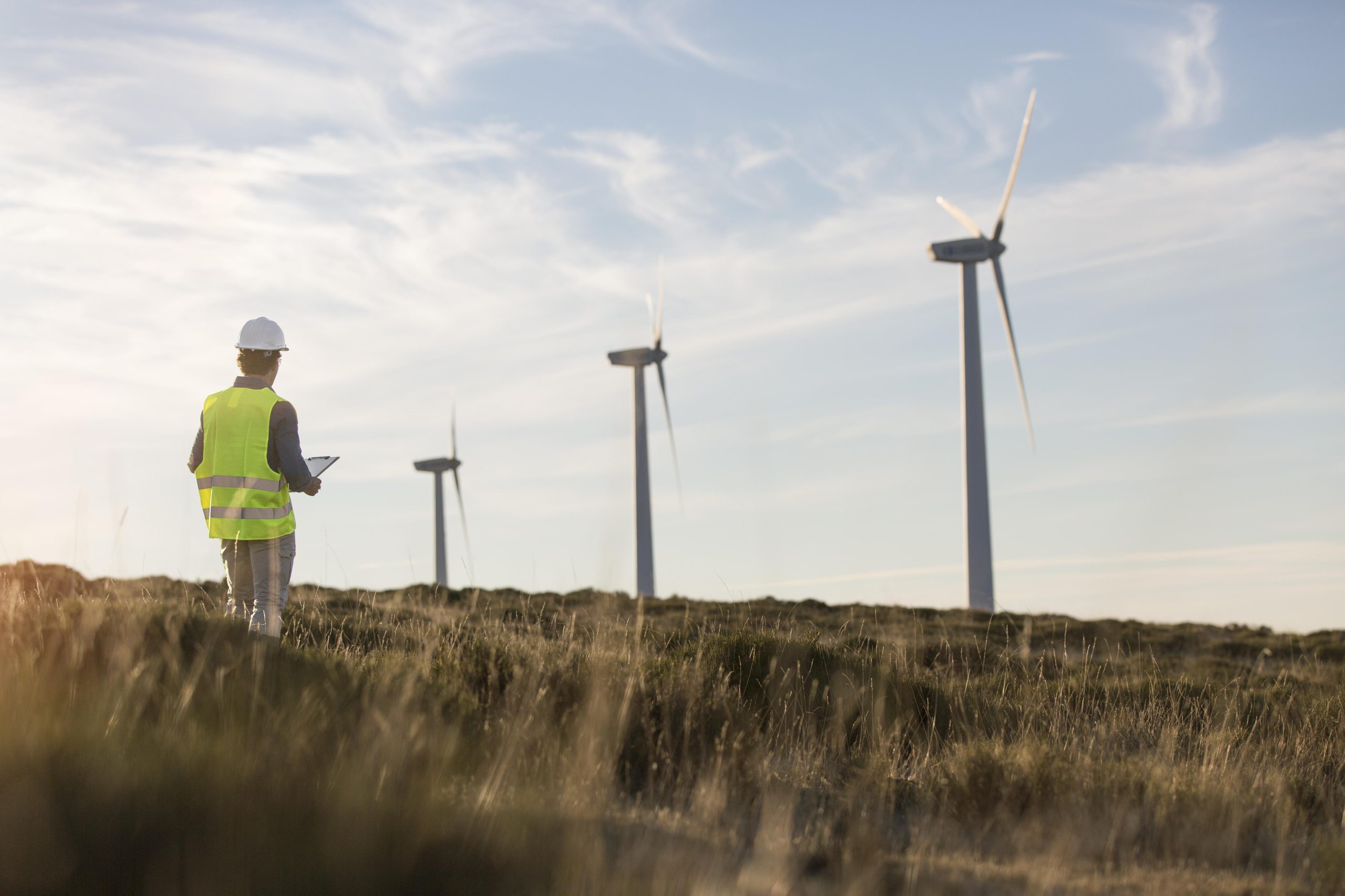 Tecnologia para Gestão de Dados Anemométricos: eficiência para os Parques Eólicos 